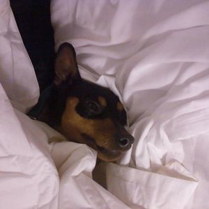 Meet your Posher, Jenn